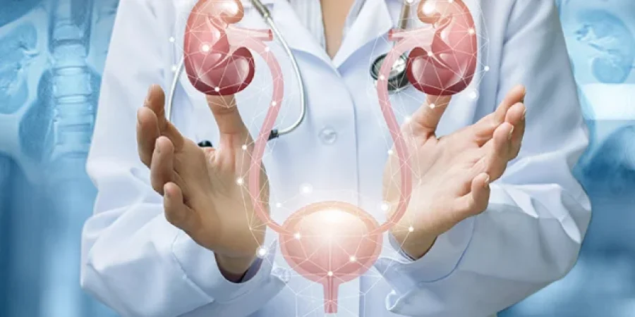 mejores-vph-urologocmdx-hiperplasia-inflamada-cancer-piedrasenlosrinones-calculosrenales-circuncision-viruspapilomahumano-vph-enfermedadesdetransmisionsexual-ets